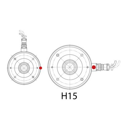 H15